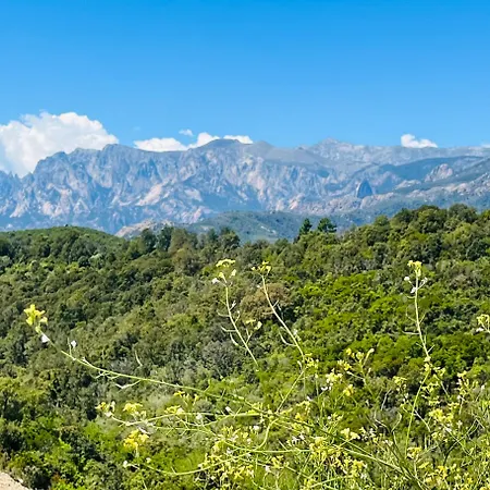 Casa Mina, Magnificient Sea View-corsica Holidays- Villa